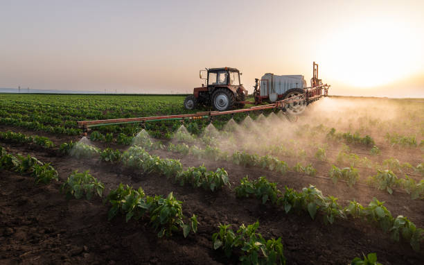 Best Mosquito Control Services  in Waller, TX