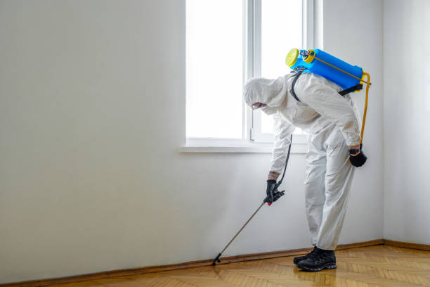 Best Commercial Pest Control Services  in Waller, TX