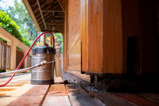 Best Exterminator Services  in Waller, TX
