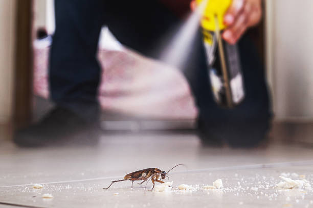 Best Best Pest Control Companies  in Waller, TX