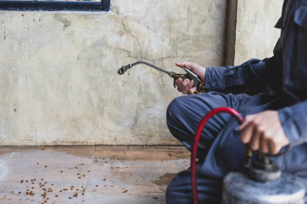 Best Pest Prevention Services  in Waller, TX